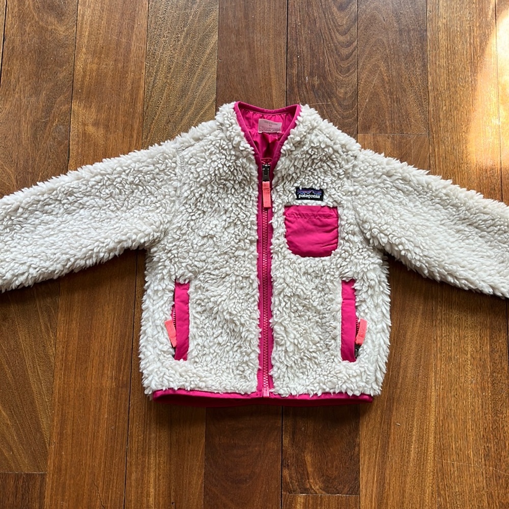 Patagonia Retro X Jacket